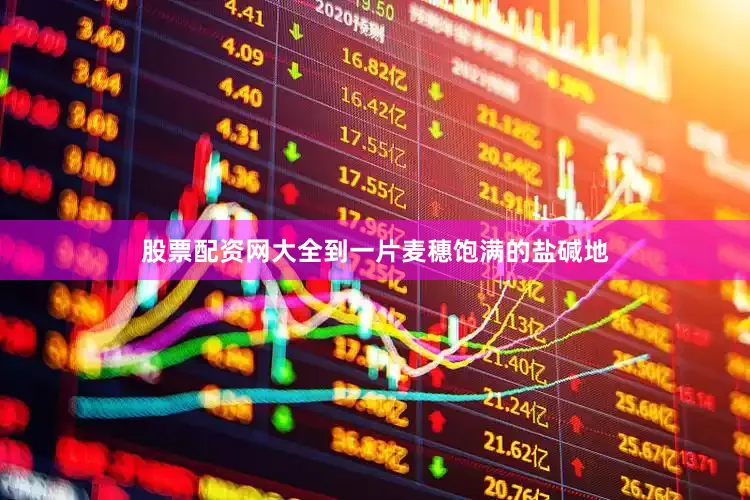 股票配资网大全到一片麦穗饱满的盐碱地