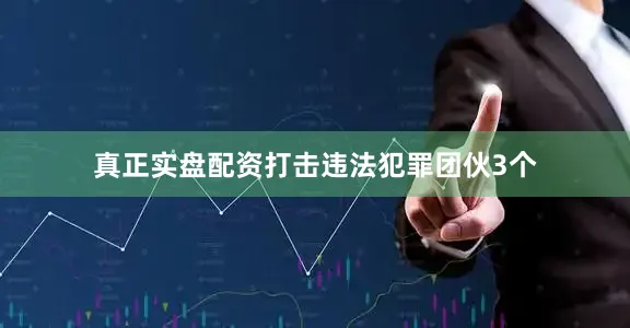 真正实盘配资打击违法犯罪团伙3个