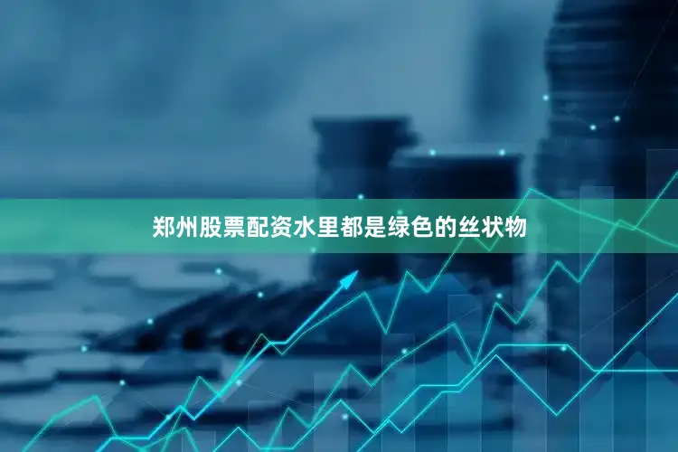 郑州股票配资水里都是绿色的丝状物