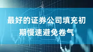 最好的证券公司填充初期慢速避免卷气