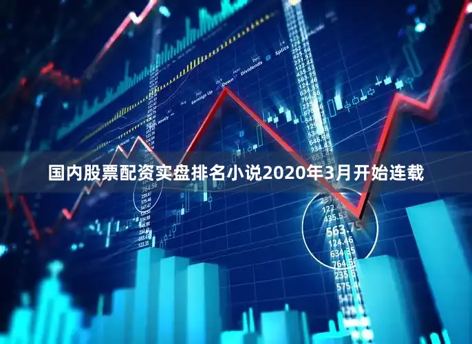 国内股票配资实盘排名小说2020年3月开始连载