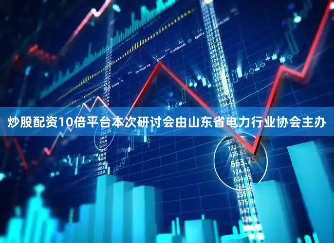 炒股配资10倍平台本次研讨会由山东省电力行业协会主办