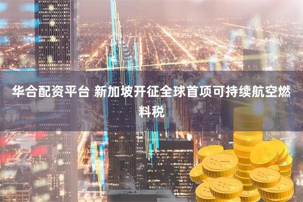 华合配资平台 新加坡开征全球首项可持续航空燃料税
